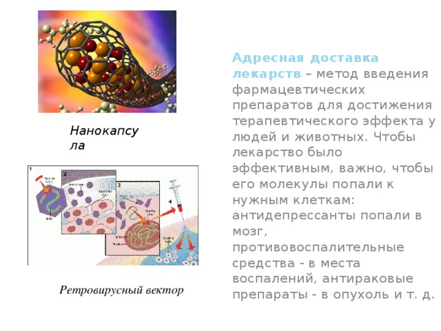 Адресная доставка лекарств  – метод введения фармацевтических препаратов для достижения терапевтического эффекта у людей и животных. Чтобы лекарство было эффективным, важно, чтобы его молекулы попали к нужным клеткам: антидепрессанты попали в мозг, противовоспалительные средства - в места воспалений, антираковые препараты - в опухоль и т. д. Нанокапсула Ретровирусный вектор 