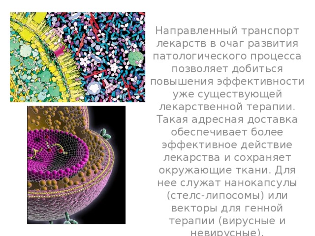 Направленный транспорт лекарств в очаг развития патологического процесса позволяет добиться повышения эффективности уже существующей лекарственной терапии. Такая адресная доставка обеспечивает более эффективное действие лекарства и сохраняет окружающие ткани. Для нее служат нанокапсулы (стелс-липосомы) или векторы для генной терапии (вирусные и невирусные). 