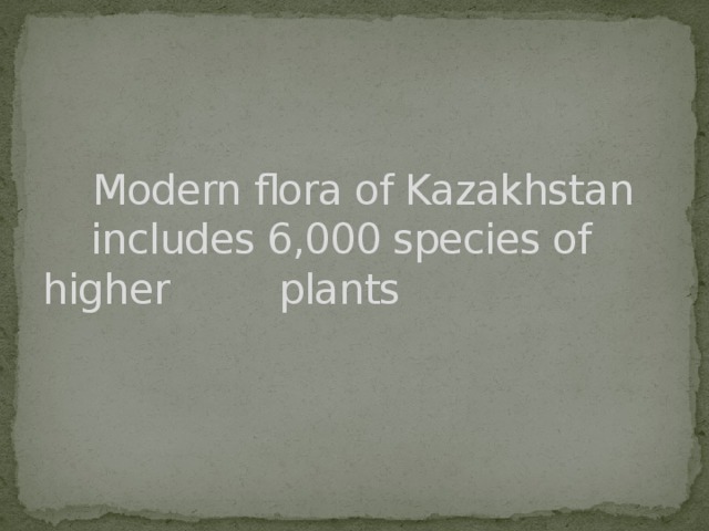  Modern flora of Kazakhstan includes 6,000 species of higher plants 