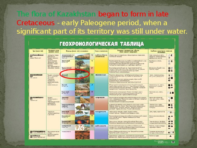 The flora of Kazakhstan began to form in late Cretaceous  - early Paleogene period, when a significant part of its territory was still under water. 