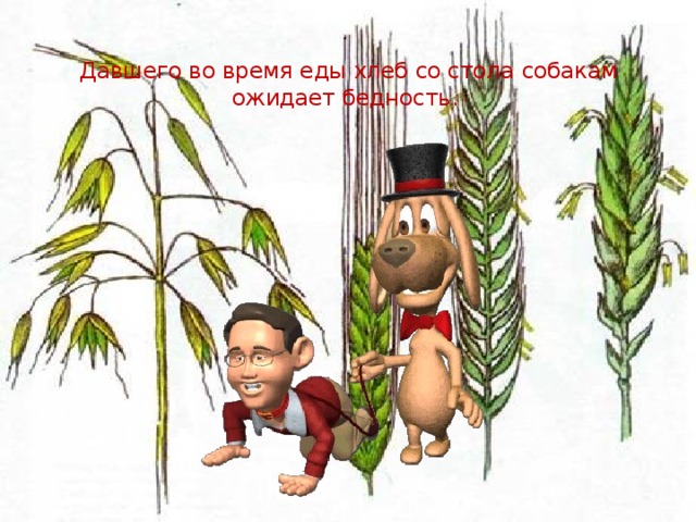 Давшего во время еды хлеб со стола собакам ожидает бедность.   