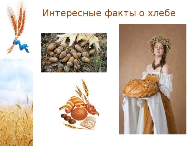 Интересные факты о хлебе   