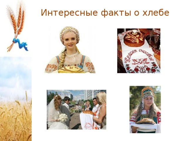 Интересные факты о хлебе   
