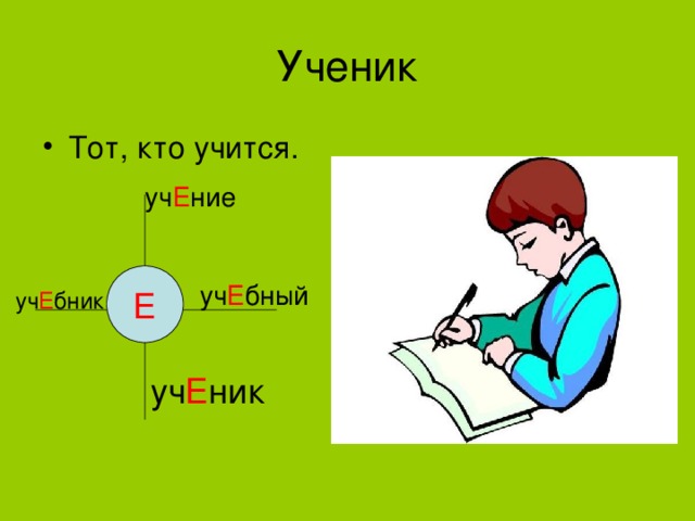 уч Е ние Е уч Е бный уч Е бник уч Е ник 