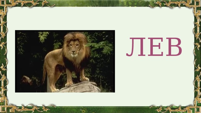 ЛЕВ 