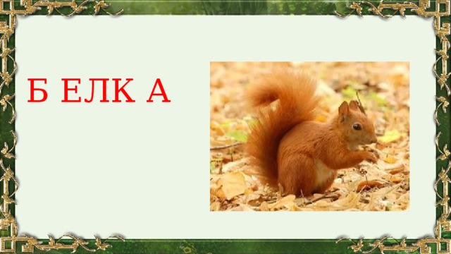 Б ЕЛК А 