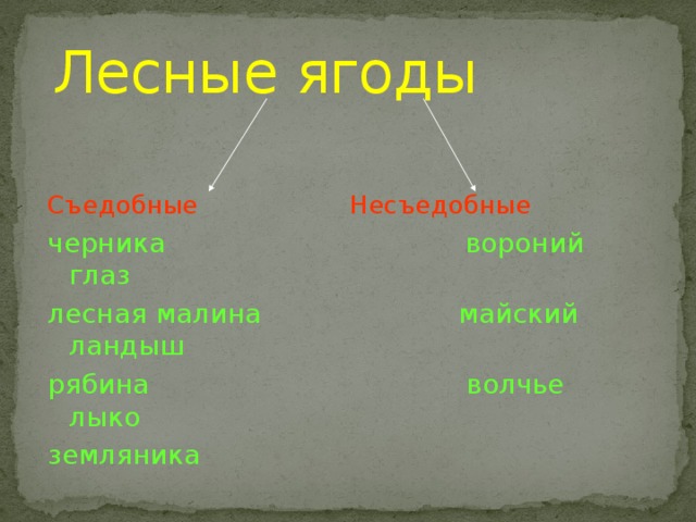 Лесные ягоды Съедобные Несъедобные черника вороний глаз лесная малина майский ландыш рябина волчье лыко земляника 