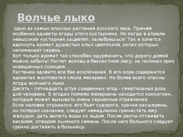 Волчье лыко     одно из самых опасных растений русского леса. Причем особенно ядовиты ягоды этого кустарника. Но когда в апреле невысокий кустарник зацветет, залюбуешься! Так и хочется вдохнуть аромат душистых алых цветочков, запах которых напоминает сирень.   Вот только аромат так способен одурманить, что дорогу домой можно забыть! Растет волчец в безлистном лесу, на полянах ярко освещенных солнцем.  Растение ядовито все без исключения. В его коре содержится ядовитая желтоватая смола мезереин. Но более всего опасны ягоды волчьего лыка.   Десять - пятнадцать штук съеденных ягод - смертельная доза для человека. В ягодах помимо мезереина находится коккогнин, который может вызывать очень серьезные отравления.   Если человек отравился, его бьет судорога, зрачки расширены, он потерял сознание, следует немедленно прочистить ему желудок, дать выпить воды со льдом. После рвоты отпаивать киселем, отваром льняного семени. После чего больного следует срочно доставить в больницу.   