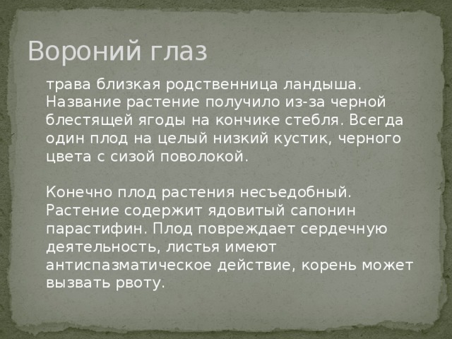 Вороний глаз трава близкая родственница ландыша. Название растение получило из-за черной блестящей ягоды на кончике стебля. Всегда один плод на целый низкий кустик, черного цвета с сизой поволокой.    Конечно плод растения несъедобный. Растение содержит ядовитый сапонин парастифин. Плод повреждает сердечную деятельность, листья имеют антиспазматическое действие, корень может вызвать рвоту. 