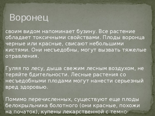 Воронец своим видом напоминает бузину. Все растение обладает токсичными свойствами. Плоды воронца черные или красные, свисают небольшими кистями. Они несъедобны, могут вызвать тяжелые отравления.   Гуляя по лесу, дыша свежим лесным воздухом, не теряйте бдительности. Лесные растения со несъедобными плодами могут нанести серьезный вред здоровью.    Помимо перечисленных, существуют еще плоды белокрыльника болотного (они красные, похожи на початок), купены лекарственной с темно-синими плодами, паслена сладко-горького растущего между кустарниками. 