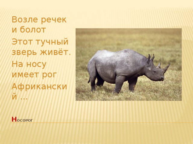 Возле речек и болот Этот тучный зверь живёт. На носу имеет рог Африканский ... н осорог   