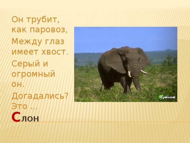 Он трубит, как паровоз, Между глаз имеет хвост. Серый и огромный он. Догадались? Это ... с лон 