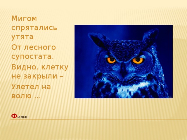 Мигом спрятались утята От лесного супостата. Видно, клетку не закрыли – Улетел на волю ... ф илин   