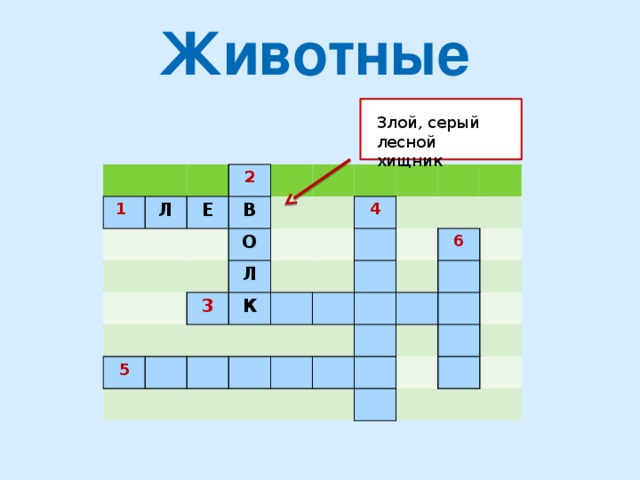 Животные Злой, серый лесной хищник 1  Л Е 2 В О Л 3 5 К 4 6 