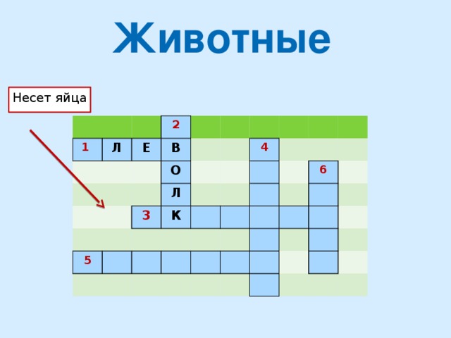 Животные Несет яйца 1  Л Е 2 В О Л 5 3 К 4 6 