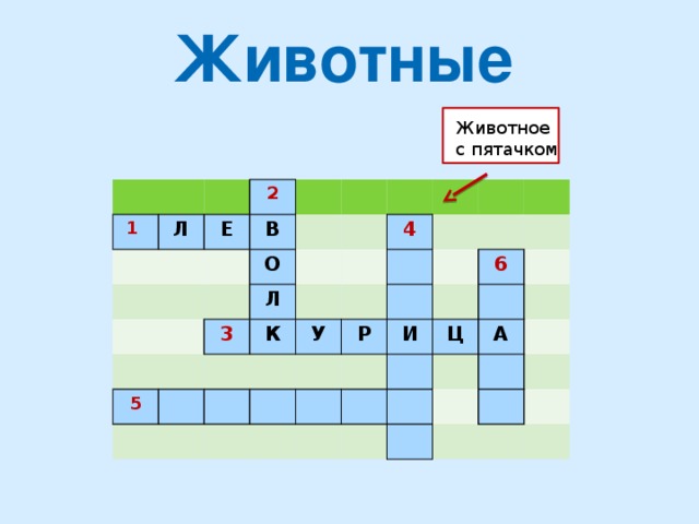 Животные Животное с пятачком 1  Л 2 Е В О Л 3 5 4 К У Р И 6 Ц А 