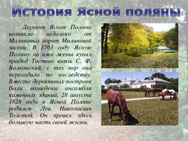  Деревня Ясная Поляна возникла недалеко от Малиновых ворот Малиновой засеки. В 1763 году Ясную Поляну на имя жены купил прадед Тостого князь С. Ф. Волконский, с тех пор она переходила по наследству. Вместо деревянных построек были возведены ансамбли каменных зданий. 28 августа 1828 года в Ясной Поляне родился Лев Николаевич Толстой. Он провел здесь большую часть своей жизни. 