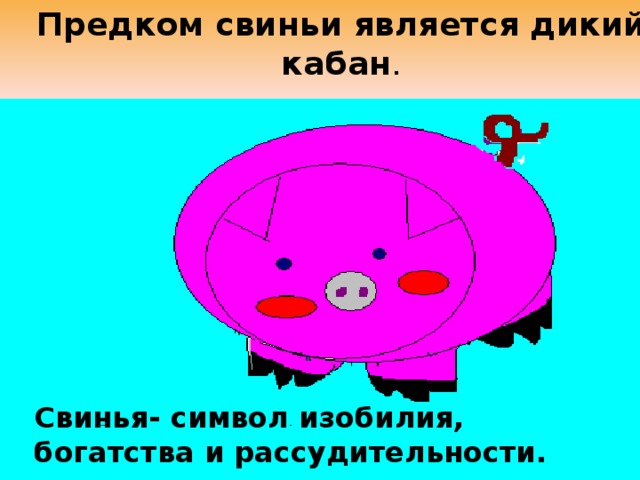 Предком свиньи является дикий кабан .   Свинья- символ изобилия, богатства и рассудительности. 