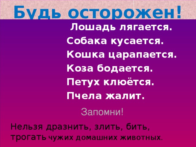 Будь осторожен!  Лошадь лягается.  Собака кусается.  Кошка царапается.  Коза бодается.  Петух клюётся.  Пчела жалит. Запомни! Нельзя дразнить, злить, бить,  трогать  чужих домашних животных. 