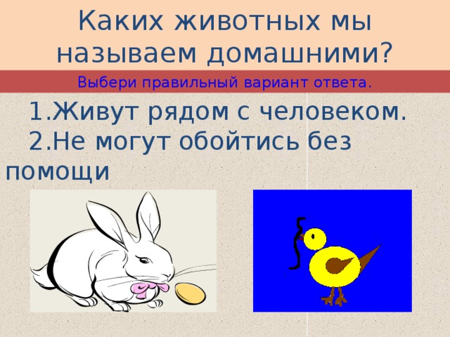 Каких животных мы называем домашними? Выбери правильный вариант ответа.  1.Живут рядом с человеком.  2.Не могут обойтись без помощи  человека. - 