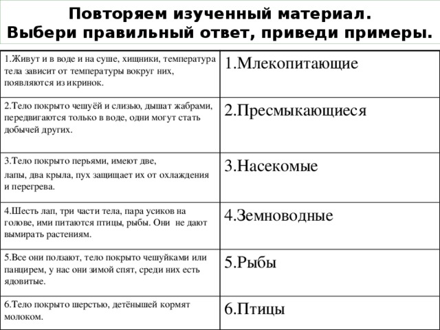 У нас в голове двое один правильный другой настоящий