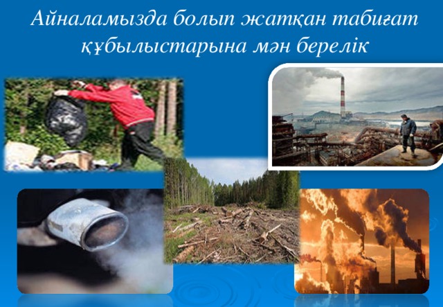 Новосибирскідегі ең арзан және ең жеке эскорттар