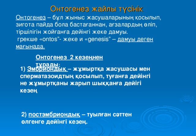 Онтогенез жайлы түсінік  Онтогенез – бұл жыныс жасушаларының қосылып, зигота пайда бола бастағаннан, ағзалардың өліп, тіршілігін жойғанға дейінгі жеке дамуы.  грекше « ontos ” - жеке и « genesis ” – дамуы деген мағынада. Онтогенез 2 кезеңнен тұрады : 1) Эмбриондық – жұмыртқа жасушасы мен сперматазоидтың қосылып, туғанға дейінгі не жұмыртқаны жарып шыққанға дейігі кезең 2) постэмбриондық – туылған сәттен өлгенге дейінгі кезең. 