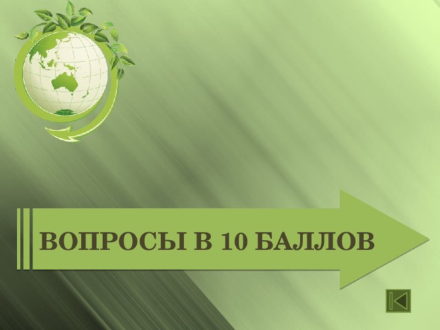 Вопросы в 10 баллов