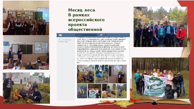 Месяц леса В рамках всероссийского проекта общественной организации GREENPEACE «Возродим наш лес» 