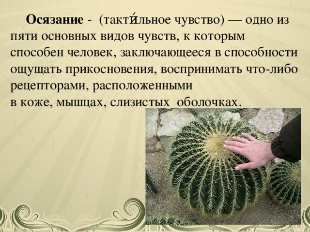 Осязательная (тактильная) память. Тактильная информация это в информатике. Осязательная информация. Тактильная информация это в информатике. Осязательные ощущения.