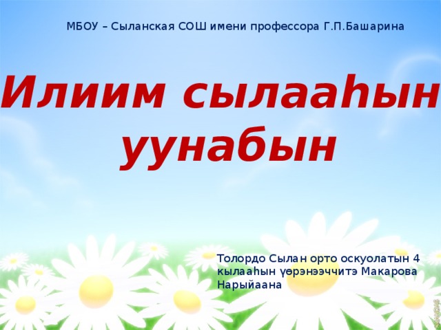    МБОУ – Сыланская СОШ имени профессора Г.П.Башарина Илиим сылааһын уунабын Толордо Сылан орто оскуолатын 4 кылааһын үөрэнээччитэ Макарова Нарыйаана 