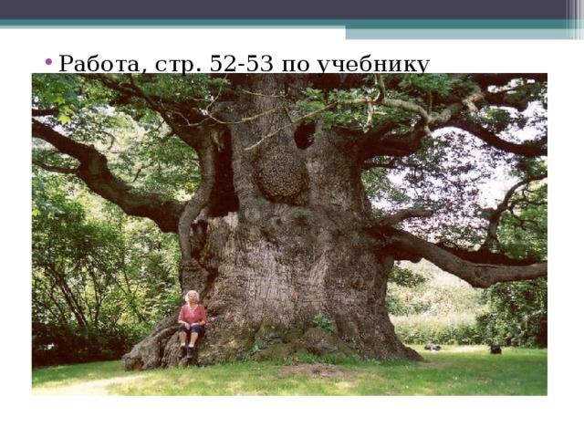 Работа, стр. 52-53 по учебнику 