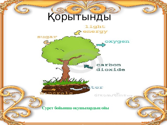 Қорытынды Сурет бойынша оқушылардың ойы 