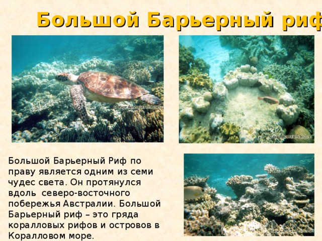 Большой Барьерный риф Большой Барьерный Риф по праву является одним из семи чудес света. Он протянулся вдоль северо-восточного побережья Австралии. Большой Барьерный риф – это гряда коралловых рифов и островов в Коралловом море. 