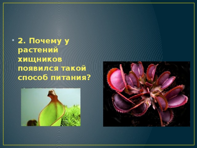 2. Почему у растений хищников появился такой способ питания? 