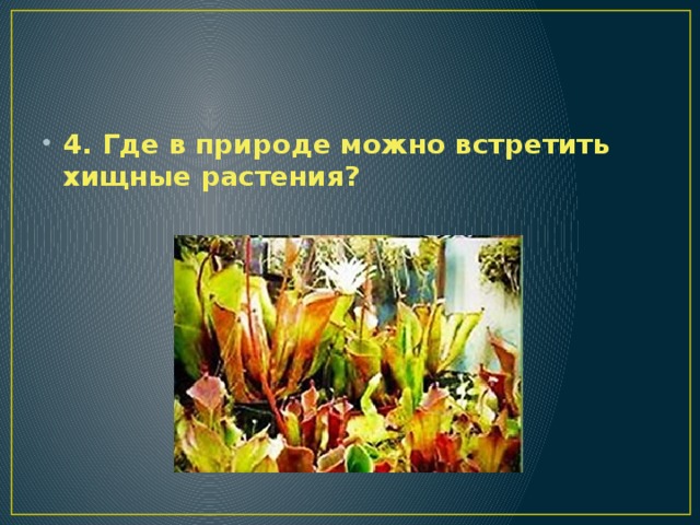 4. Где в природе можно встретить хищные растения? 