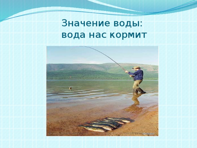 Значение воды:  вода нас кормит 