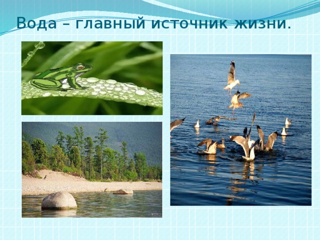 Вода – главный источник жизни. 