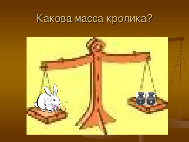 Какова масса кролика? 