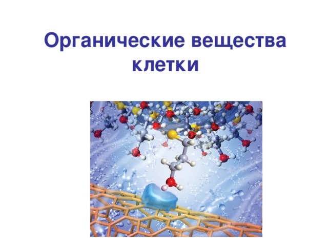 Органические вещества клетки углеводы липиды презентация 10 класс