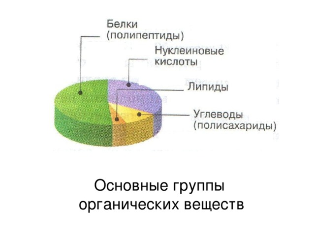 Основные группы органических веществ 