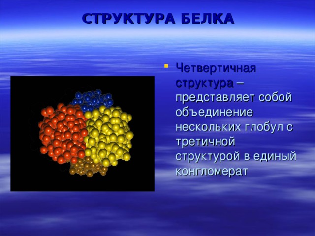 Структура белка представленная глобулой