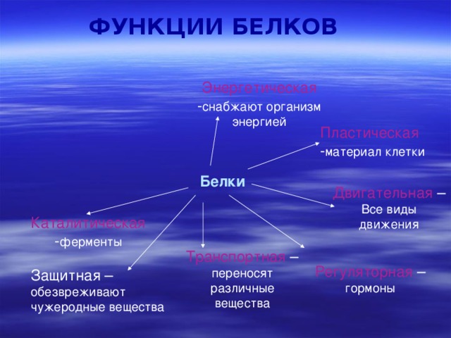 ФУНКЦИИ БЕЛКОВ Энергетическая - снабжают организм энергией Пластическая - материал клетки Белки Двигательная – Все виды движения Каталитическая - ферменты Транспортная – переносят различные вещества Регуляторная – гормоны Защитная – обезвреживают чужеродные вещества 