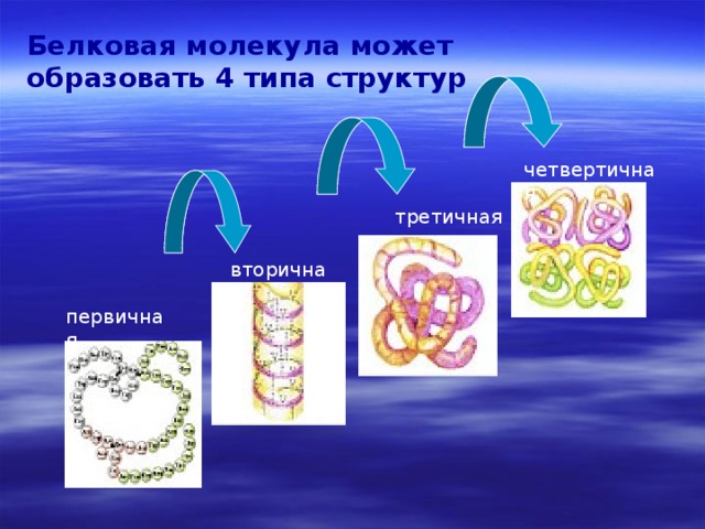 Четвертичная структура молекулы