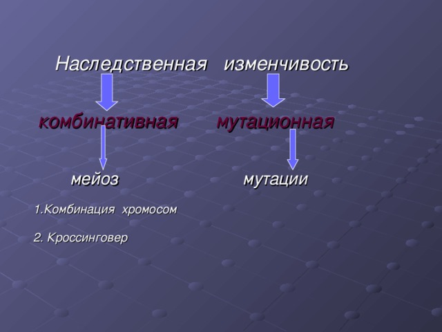  Наследственная изменчивость  комбинативная  мутационная мейоз мутации   1.Комбинация хромосом  2. Кроссинговер 