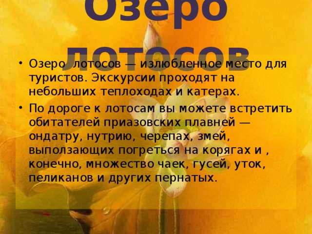 Озеро лотосов