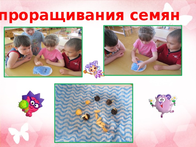  проращивания семян 