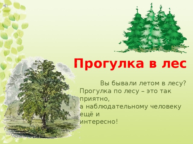 Прогулка в лес  Вы бывали летом в лесу? Прогулка по лесу – это так приятно, а наблюдательному человеку ещё и интересно!  