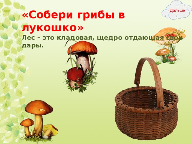 «Собери грибы в лукошко»  Лес – это кладовая, щедро отдающая свои дары. 9 