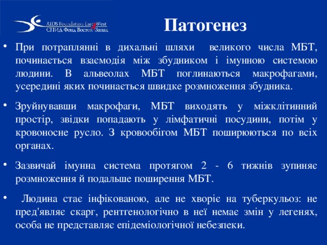 Патогенез  При потраплянні в дихальні шляхи великого числа МБТ, починається взаємодія між збудником і імунною системою людини. В альвеолах МБТ поглинаються макрофагами, усередині яких починається швидке розмноження збудника. Зруйнувавши макрофаги, МБТ виходять у міжклітинний простір, звідки попадають у лімфатичні посудини, потім у кровоносне русло. З кровообігом МБТ поширюються по всіх органах. Зазвичай імунна система протягом 2 - 6 тижнів зупиняє розмноження й подальше поширення МБТ.  Людина стає інфікованою, але не хворіє на туберкульоз: не пред'являє скарг, рентгенологічно в неї немає змін у легенях, особа не представляє епідеміологічної небезпеки. 